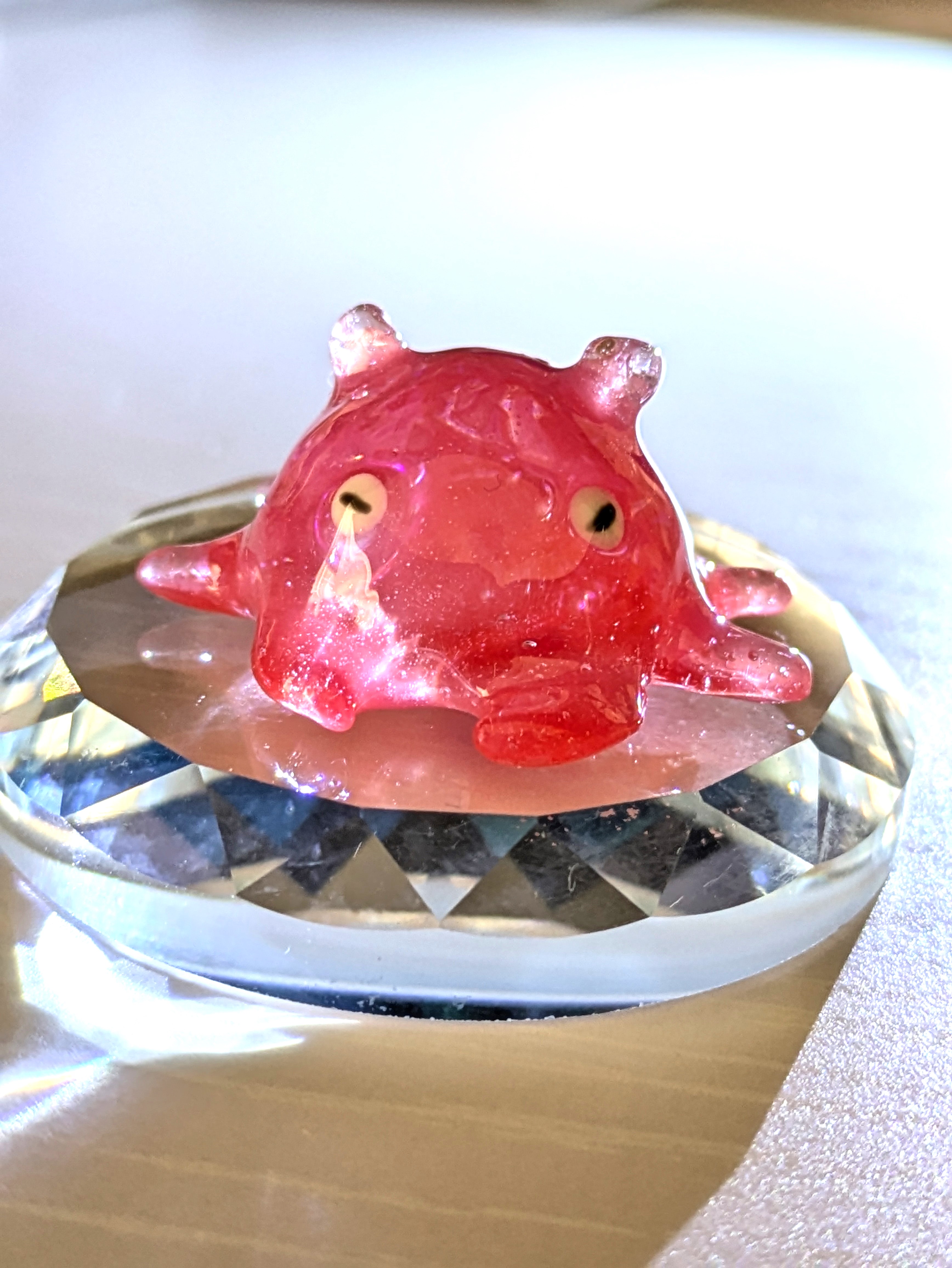 メンダコの画像