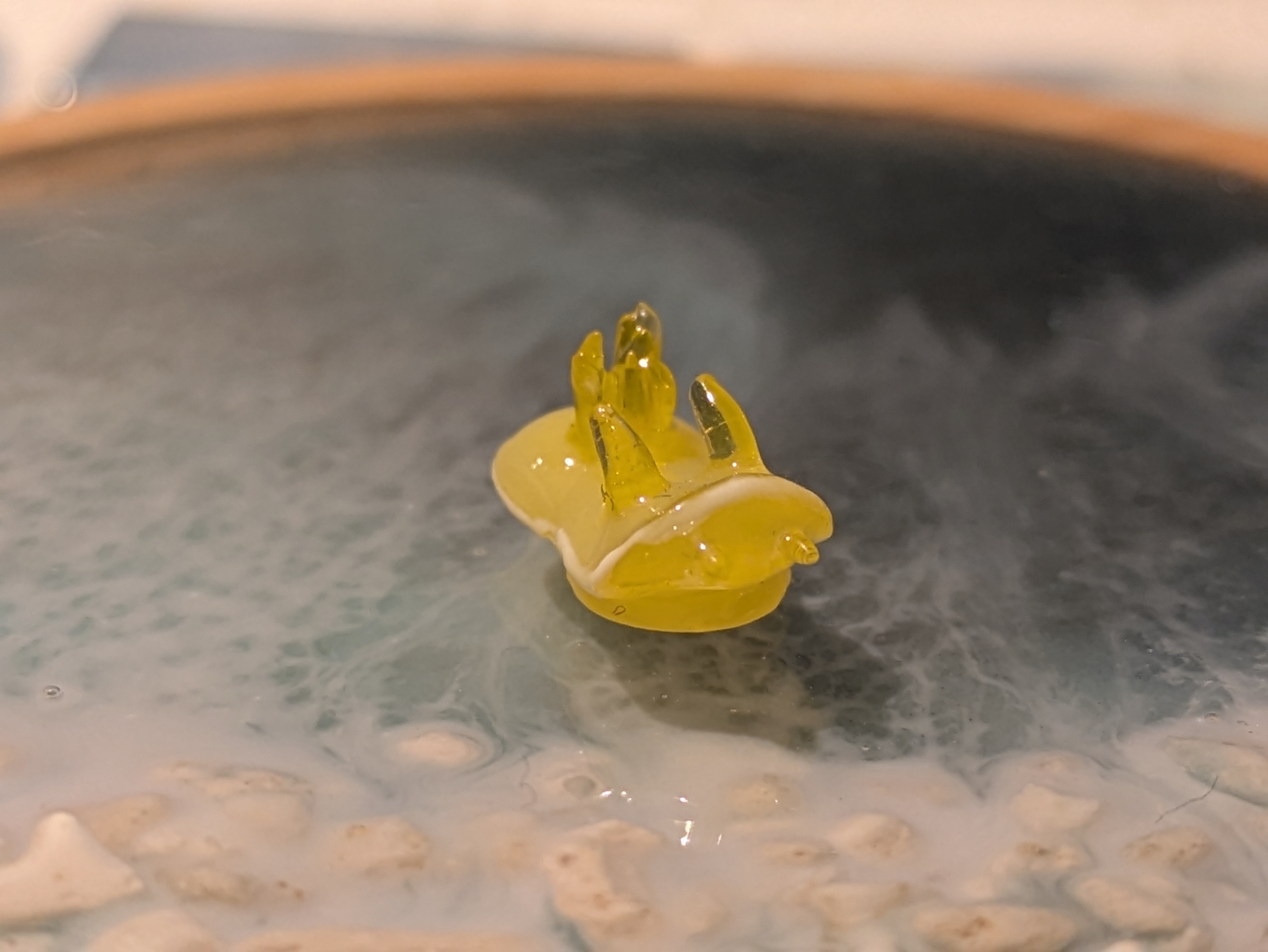 サフランイロの画像