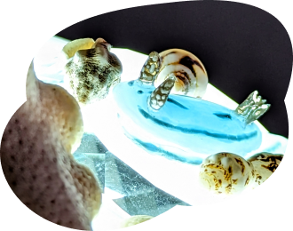 ミゾレライト画像1