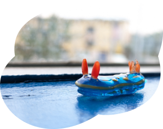 アオウミウシ窓辺画像