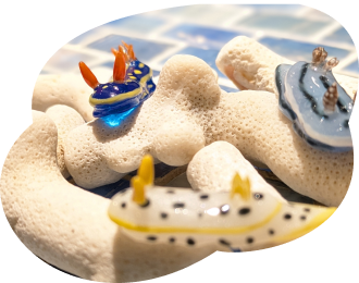 珊瑚の上にウミウシ画像